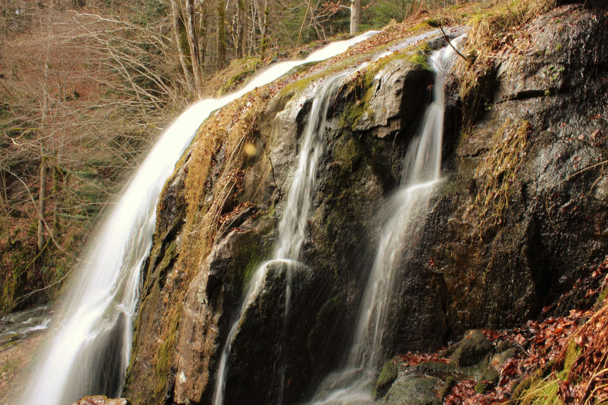 hohwald-waterfall-in-the-vosges-mountains