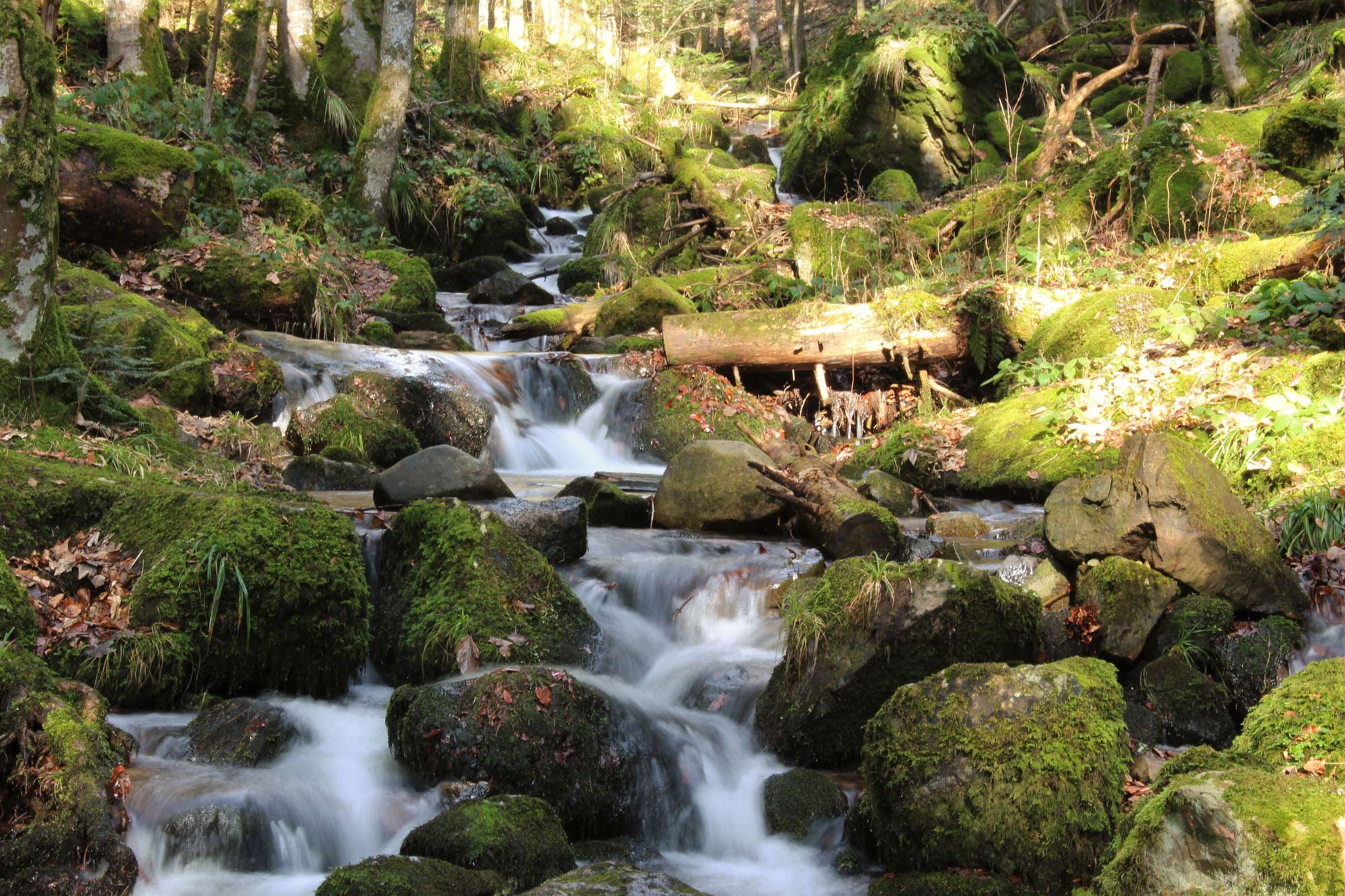 small-waterfall-in-the-vosges-mountains