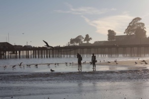 california-beach-and-sea-with-people-and-birds-in-the-background